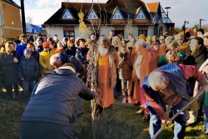 Peace tree planting, Vep, Hungary, December 2019